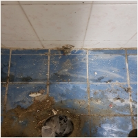 정현욕실 PC 갤러리 8